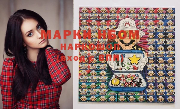 индика Щёлкино