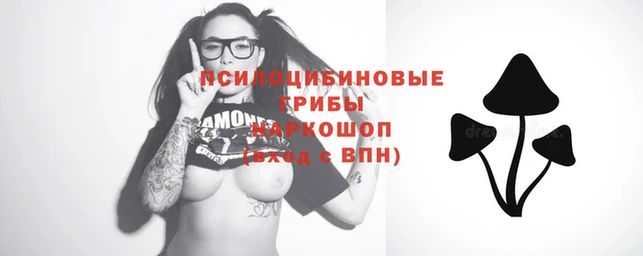 спайс Верея