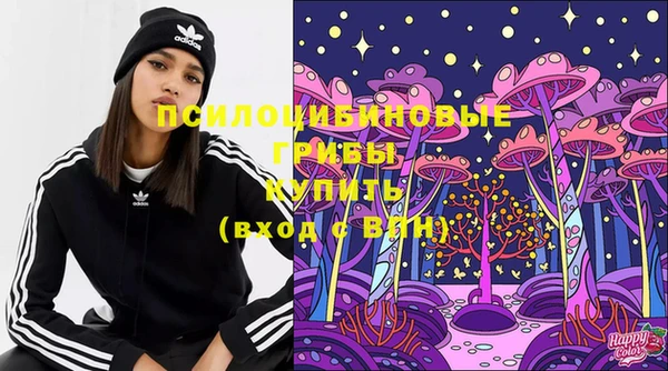 ECSTASY Волосово